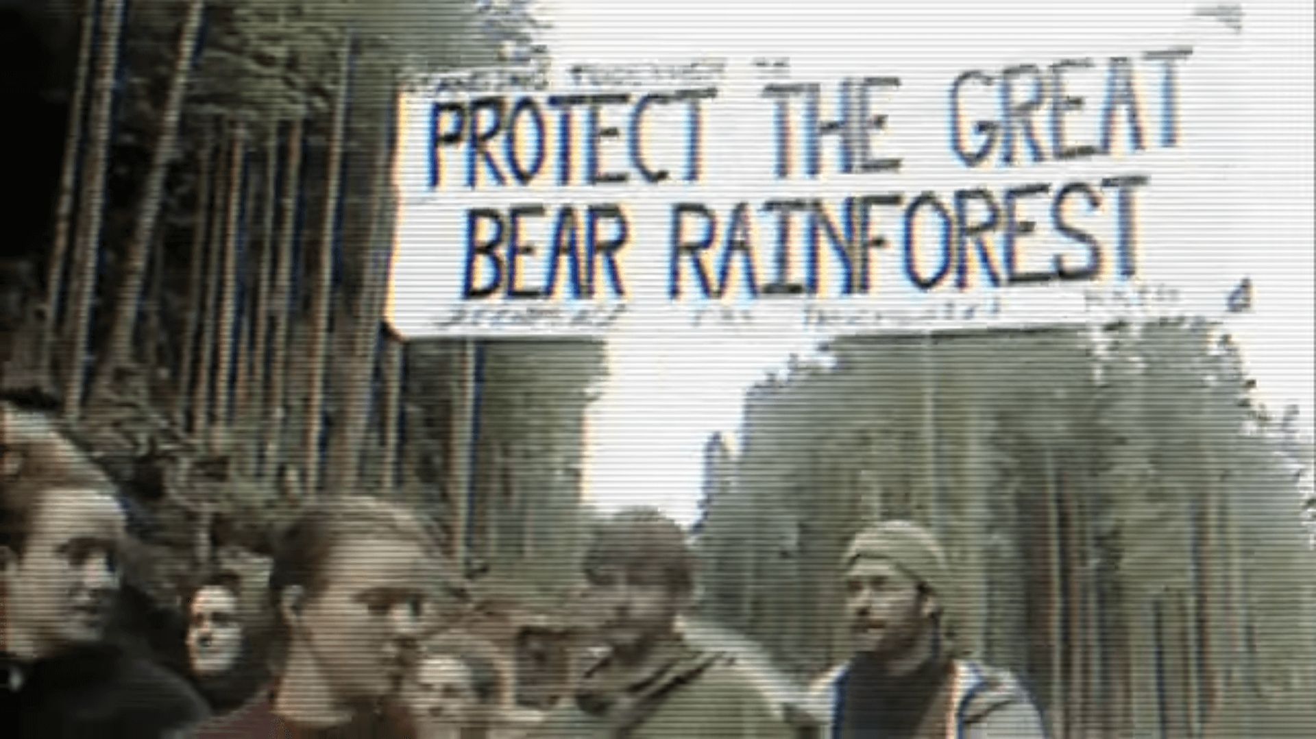 Правда об экологических организациях