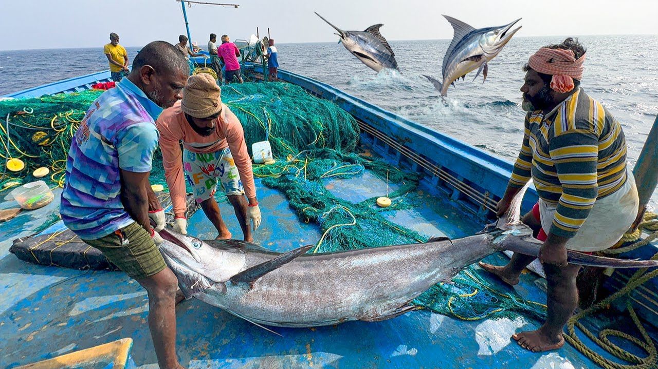 Десять день мы провели в открытом море и поймали много крупной рыбы