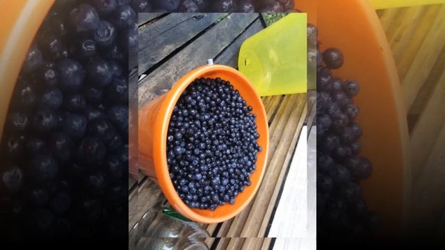 10-Проект ( Ностальгия ) п.Гыркашор 2020г.