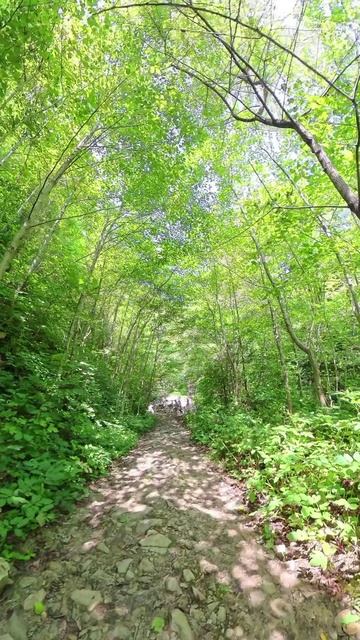 Свирское ущелье. Лазаревское. Сочи. Август 2025. Ч19.