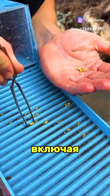 Интересно и любопытно