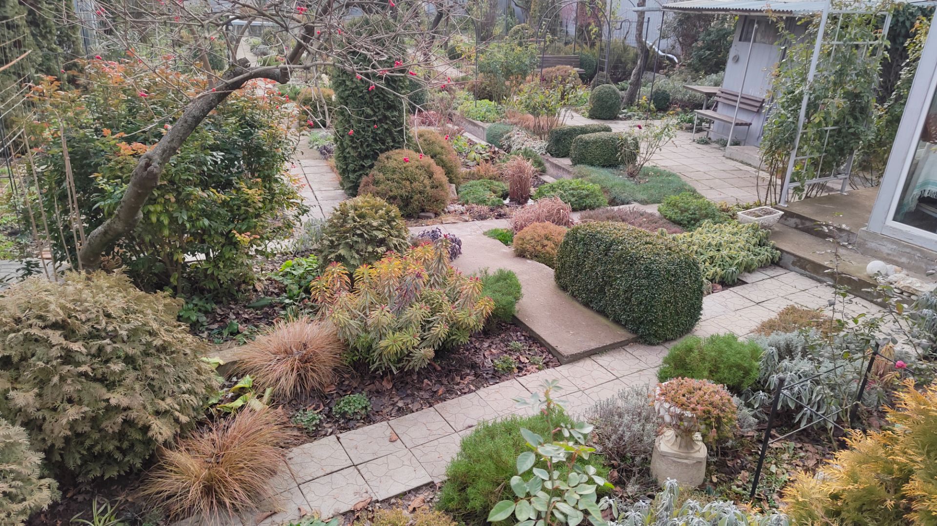 Вид на сад с высоты и как зимуют мои небольшие прудики 17.12.2025 г. Пятигорск.