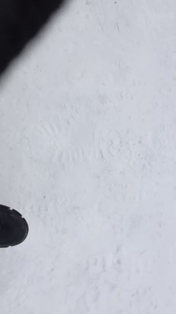 Идём вместе с фани