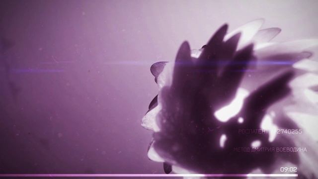 Сотворение - музыкальный микс Синергии