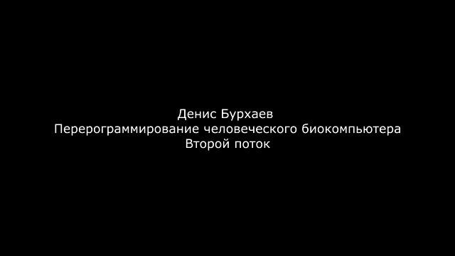 Денис Бурхаев - Перерограммирование человеческого биокомпьютера. Второй поток