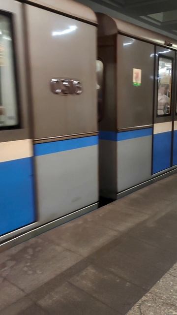 Электропоезд "Русич" на станции Дубравная