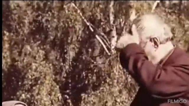 Х/Ф "ОСЕННИЕ СНЫ"