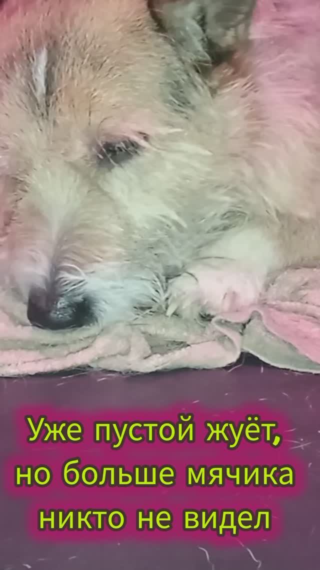 Ну ооочень маленькие мячики