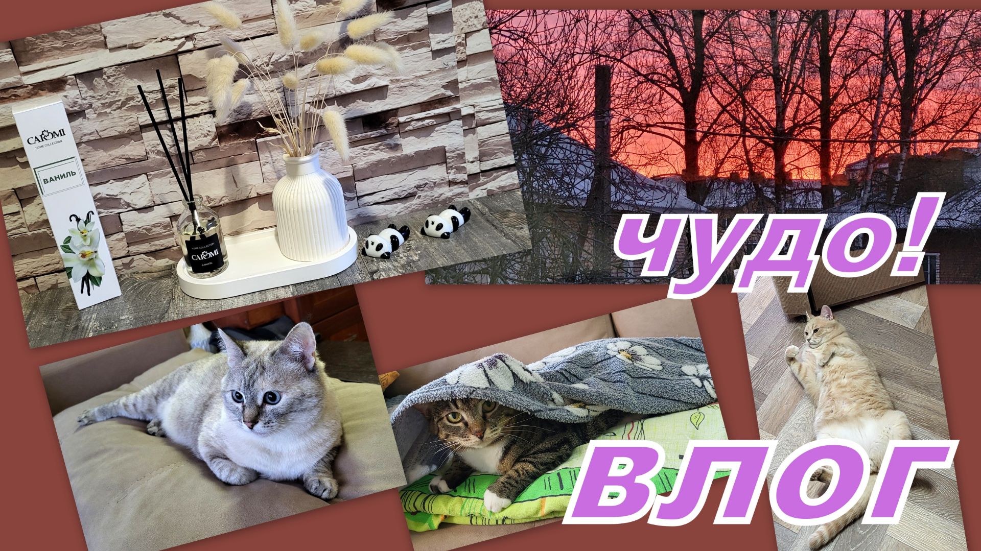 ВЛОГ: КРАСОТА НЕРЕАЛЬНАЯ! ПРИОБРЕТЕНИЕ С ВАЛДБЕРИС! ПУШИСТЫЕ СТРАСТИ))