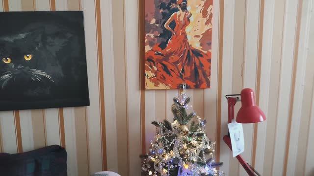 Дневник  за 18 декабря 2025 год: украшаем комнату к Новому году