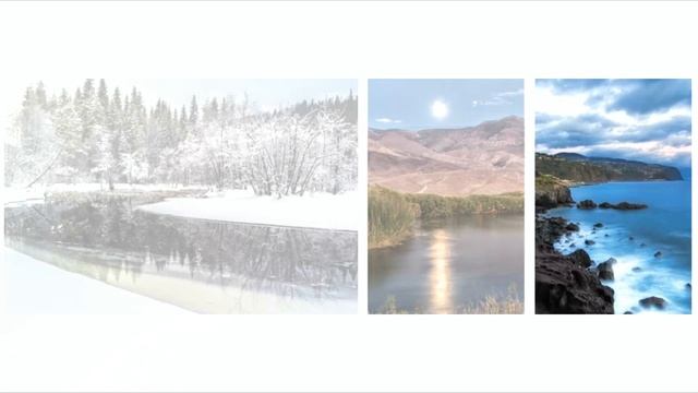 Sotra - Contemplator