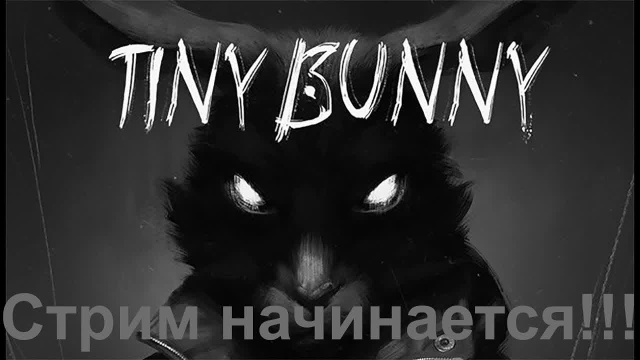 Зайчик продолжает