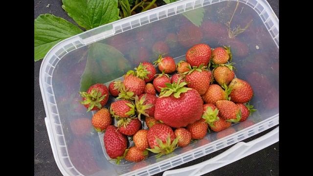 Красота это сила!