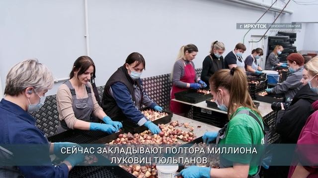 Главные новости Иркутской области, 18 декабря 2025 года