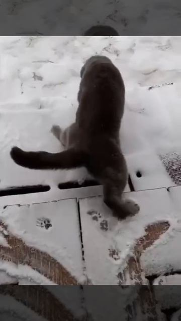 Когда забыл поменять резину