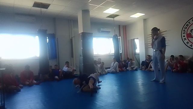 соревнования по самбо