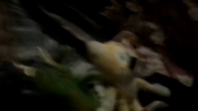 Супер Смэш Брос серия 173 Враг Соника