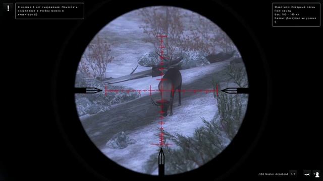 theHunter Classic - 2025-12-19