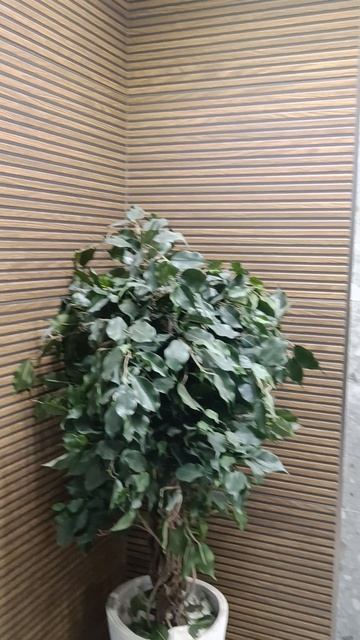 Стильный Эко-дизайн в санузле(магКвадрат)