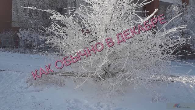 КАК ОБЫЧНО В ДЕКАБРЕ (акустика) - Жанна Вишнякова Арс