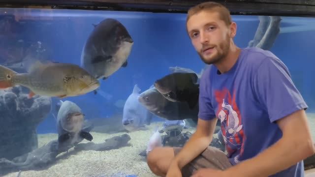 США,Огайо: ТОП-5🐟 Monster Fish