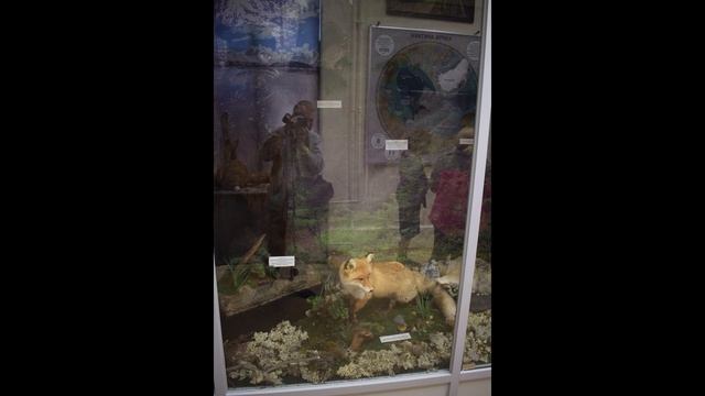 Североморск Музей города фото часть 3