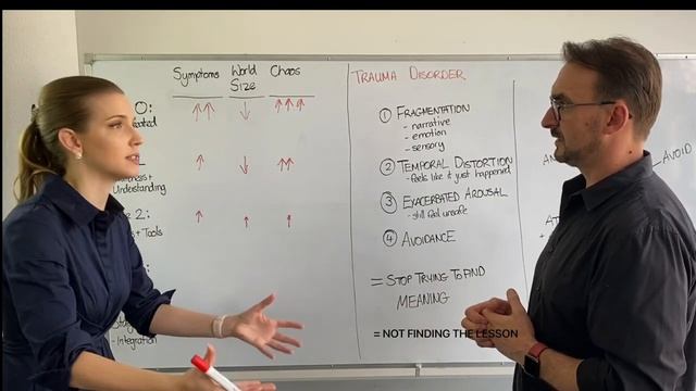 PTSD Trauma Integration Understanding trauma meaning & lessons in recovery from