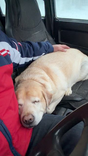 Ульзана Вадимовна anzl.ru уработалась.