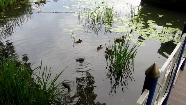 2021 Александр Бенуа 15.07 Казань-Раифский монастырь