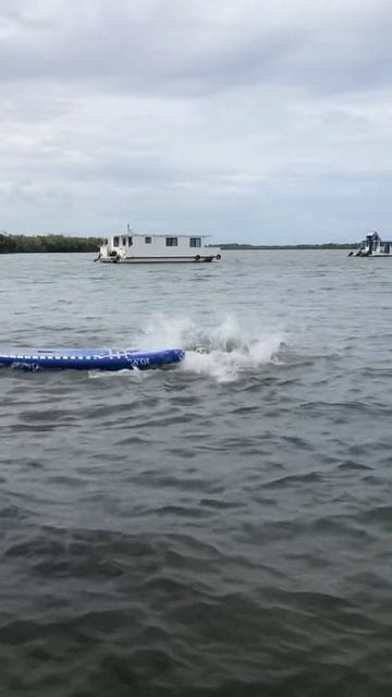 Юмор 5 звезд - #юмор #смешно #ржач #прикол #веселоевидео