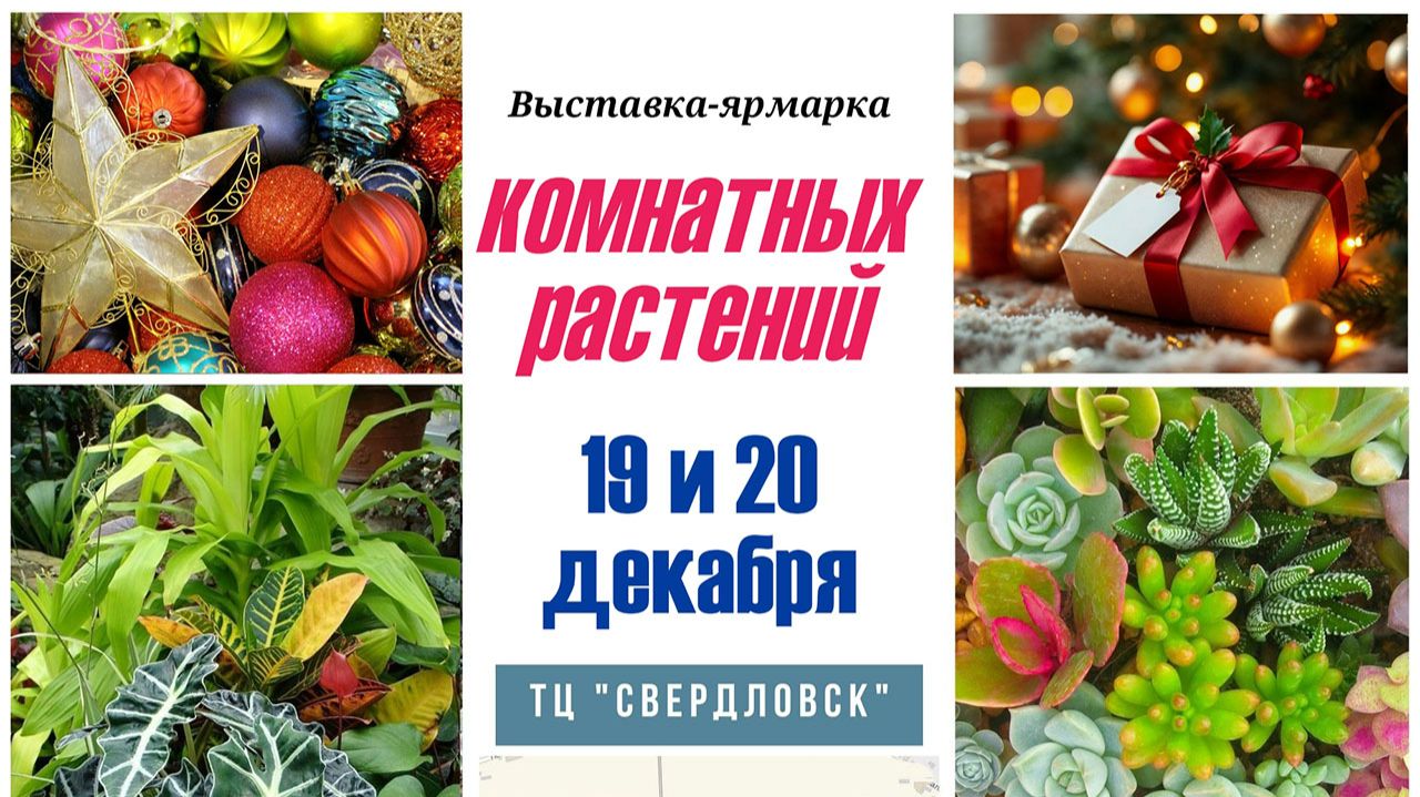 Выставка комнатных растений Иридасад 19-20 декабря, Екатеринбург