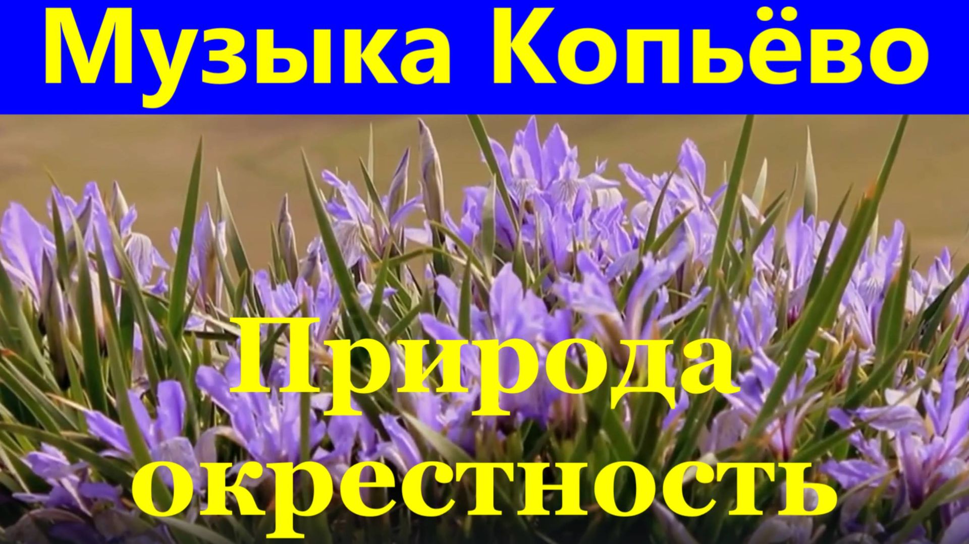 Музыка для души Копьёво Хакасия природа окрестность