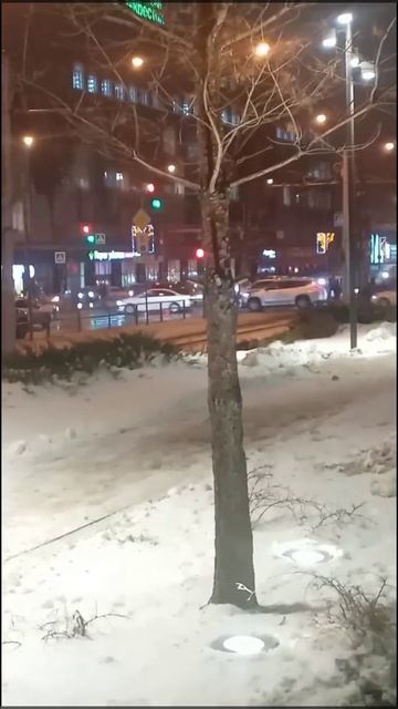 Огни ёлки и блики фар. Кого ждёт девушка.