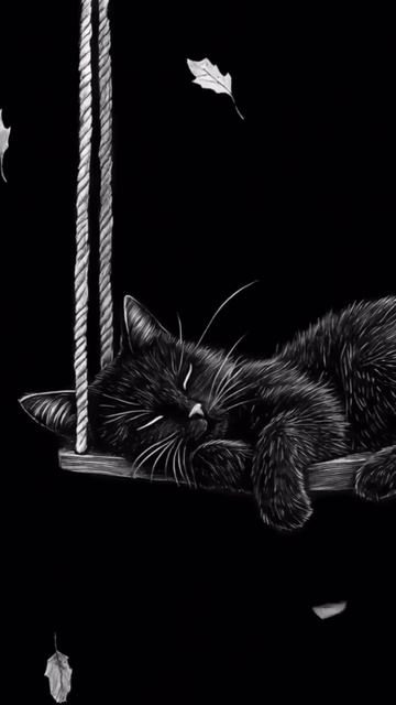 Доброй ночи, друзья!