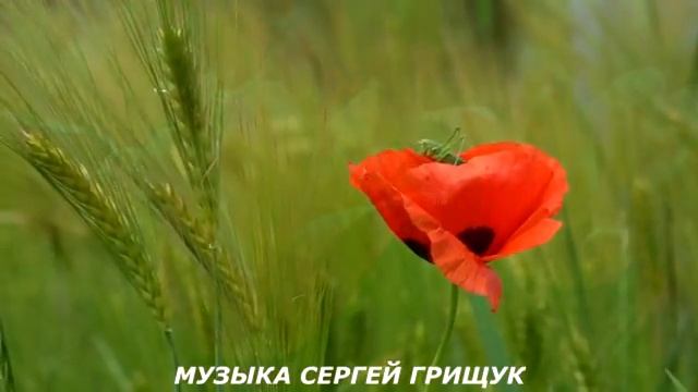 ПОГОВОРИ СО МНОЙ Музыка Сергей Грищук @grishchuksergey