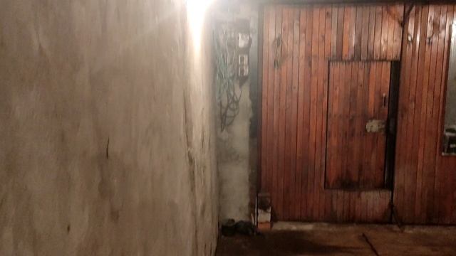 Гараж в ГСК | Смотрю стены
