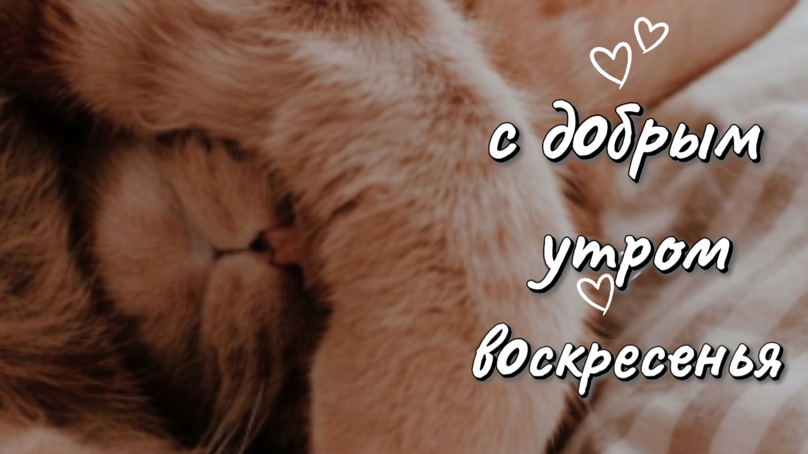 Пожелания с добрым утром воскресенья ☀️ Нежная музыкальная открытка для души