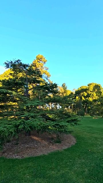 Романтическая прогулка по городскому парку летним солнечным днем