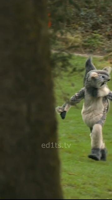 Сериал "Голяк" угарный момент