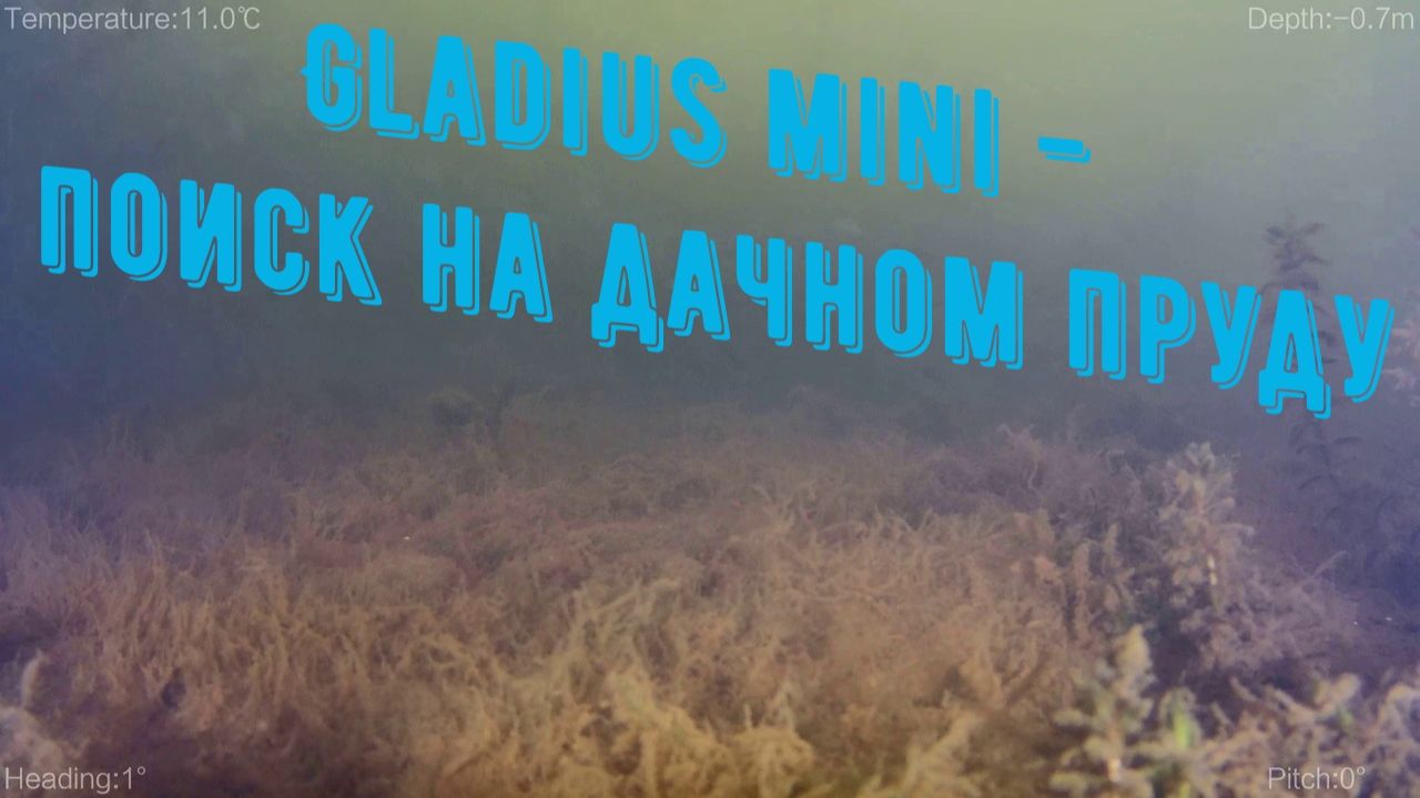 Gladius mini поиск на дачном пруду