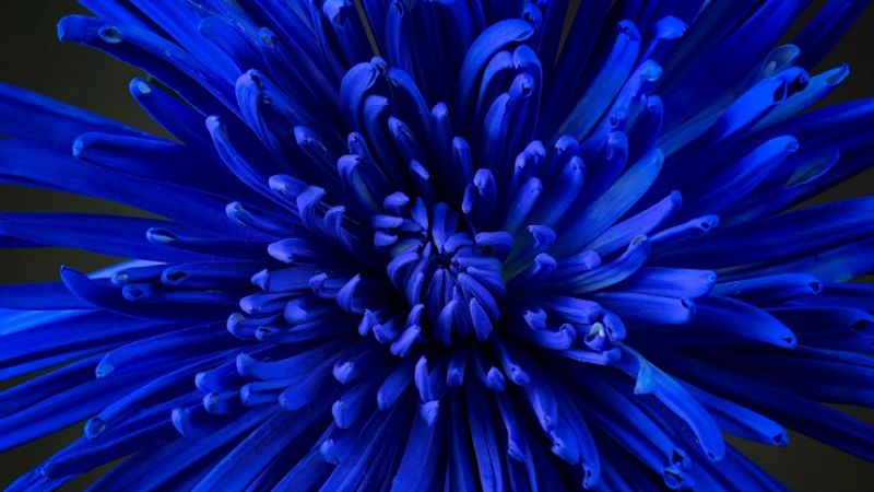 Думаете ад это где-то. Вы сами туда лезете