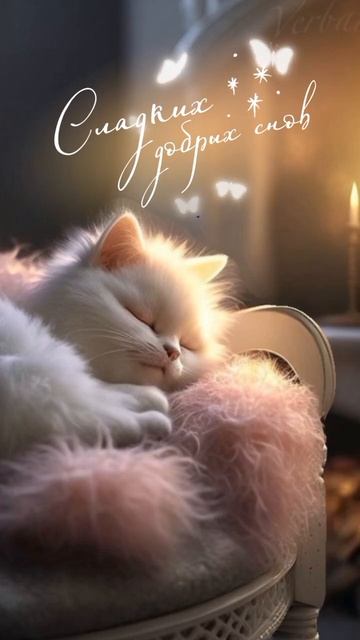 Сладких добрых снов!