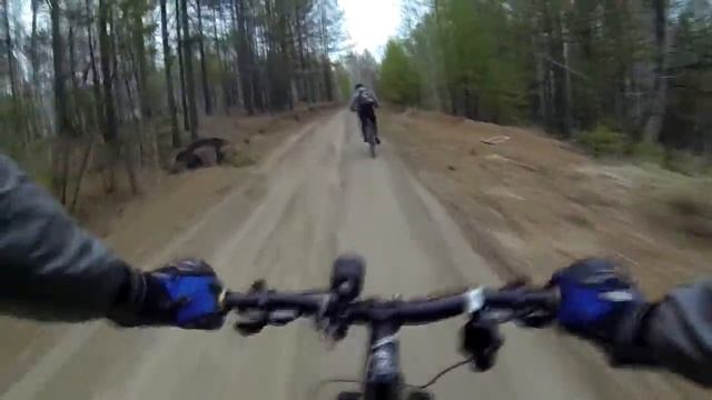 Воспоминания_Чита_велосипед_лес_дорога