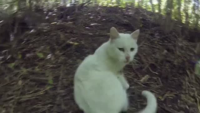 Автостоп_Красноярск-Новосибирск_2 часть.