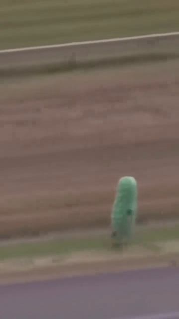 Огурец сбежал