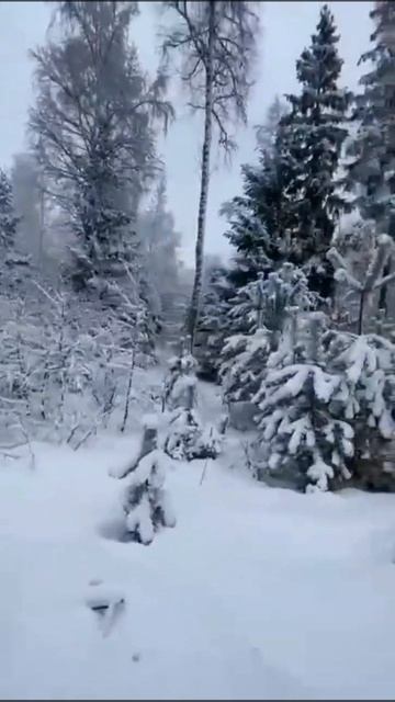 Впереди только приключения и свежий воздух🏞️