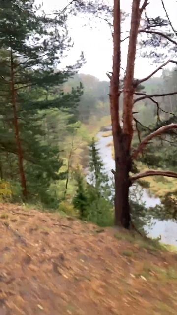 Воот такая красота