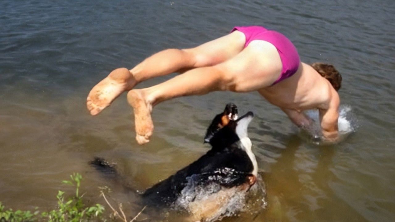 ЗАБАВНЫЕ МОМЕНТЫ С ЖИВОТНЫМИ, СНЯТЫЕ НА КАМЕРУ