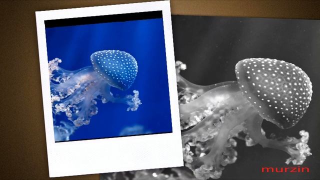 Cities In The Clouds 18