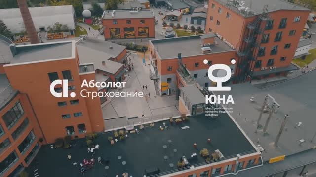Абсолют Страхование благотворительный праздник "Юна Фест"